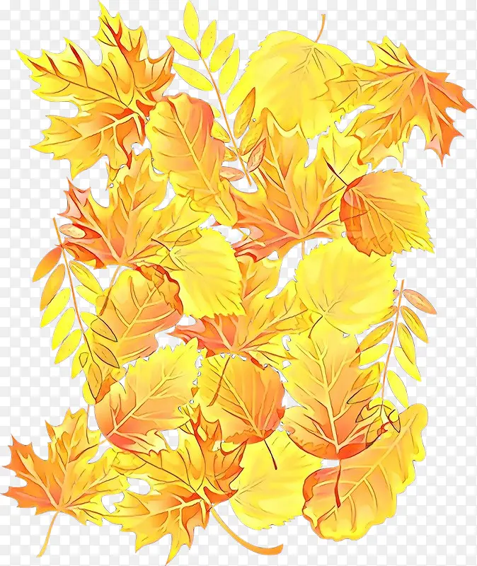 ��ͨ ��ɫ Ҷ��-������