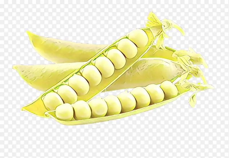 ��ͨ ��ɫ ʳƷ-������