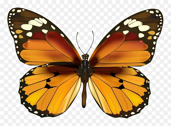 �ɶ�ͺ��� ���� ����-������