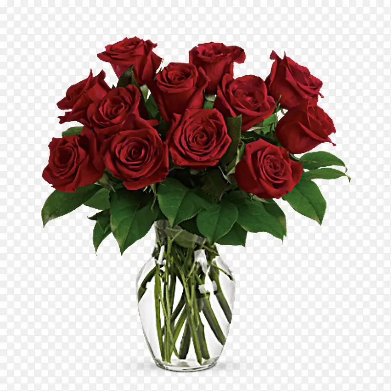 �ɹ���Ʒ�� õ�� ����ֲ��-������