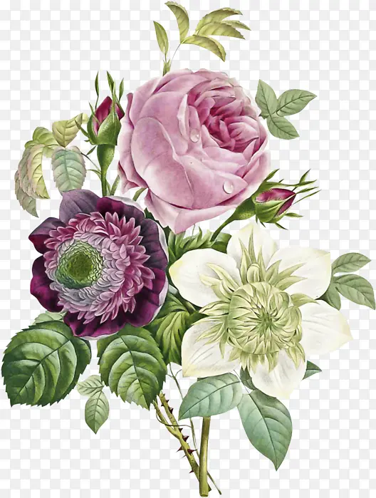 �� ����ֲ�� ֲ��-������