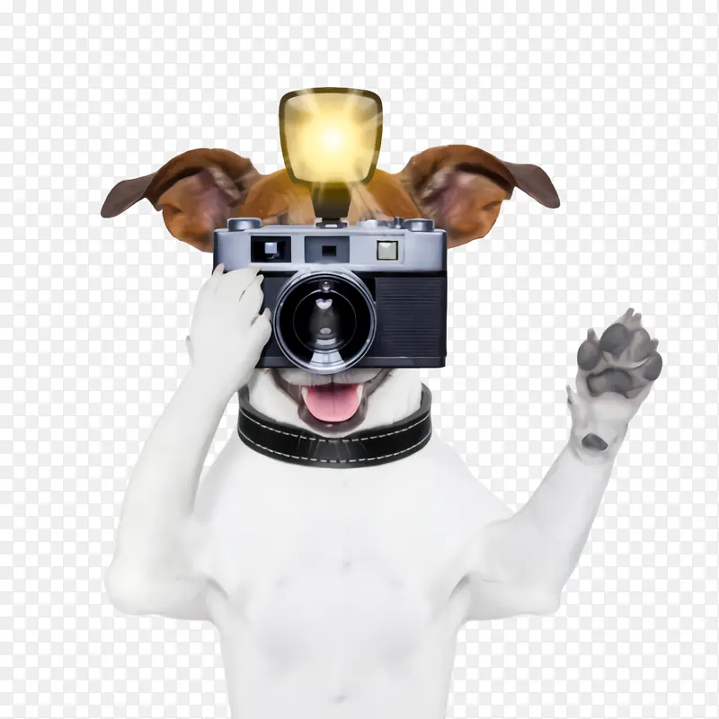 �� ���� ����Ʒ��-������