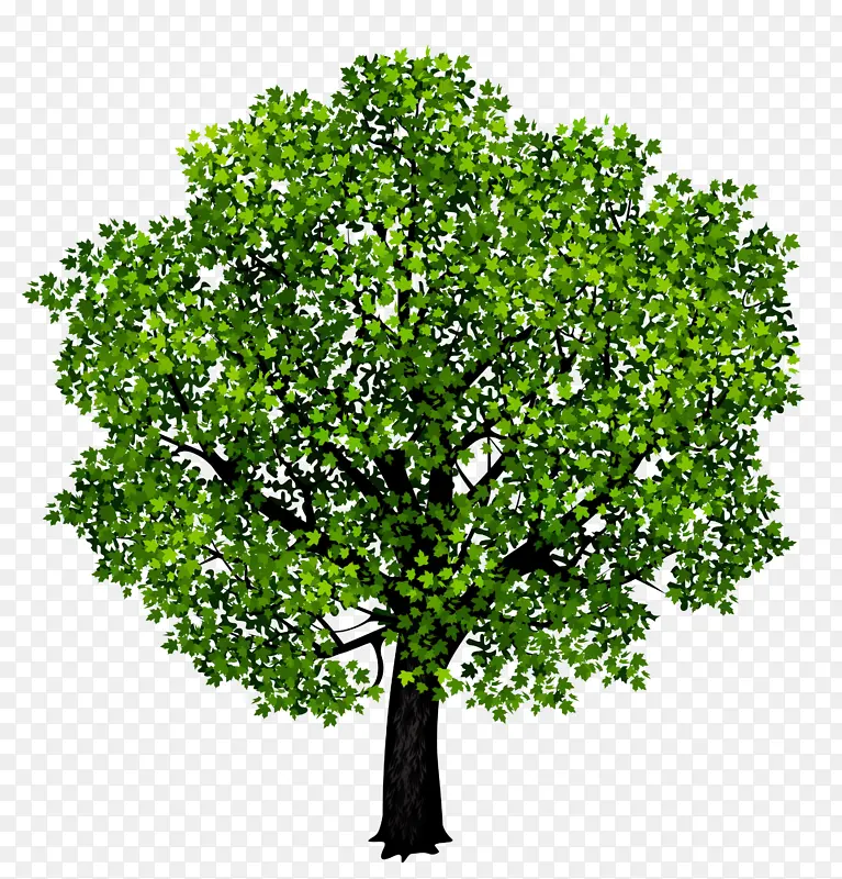 ˮ�� ���� ʪī-������