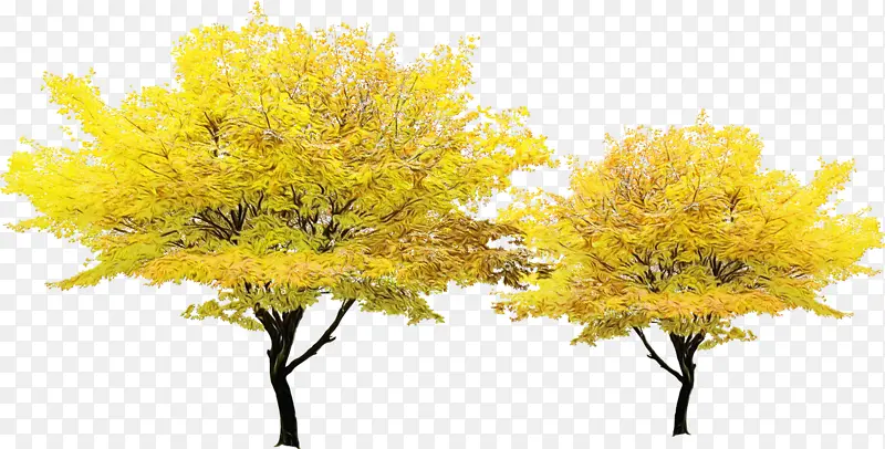 ˮ�� ���� ʪī-������