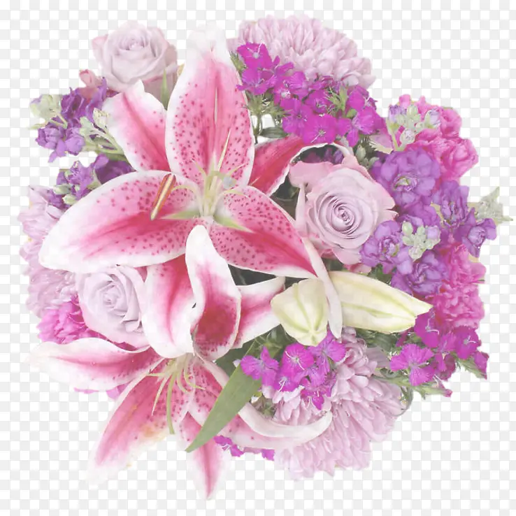 �ɹ���Ʒ�� ���� �ۺ�ɫ-������