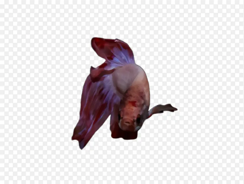 ˮ�� ���� ʪīˮ-������