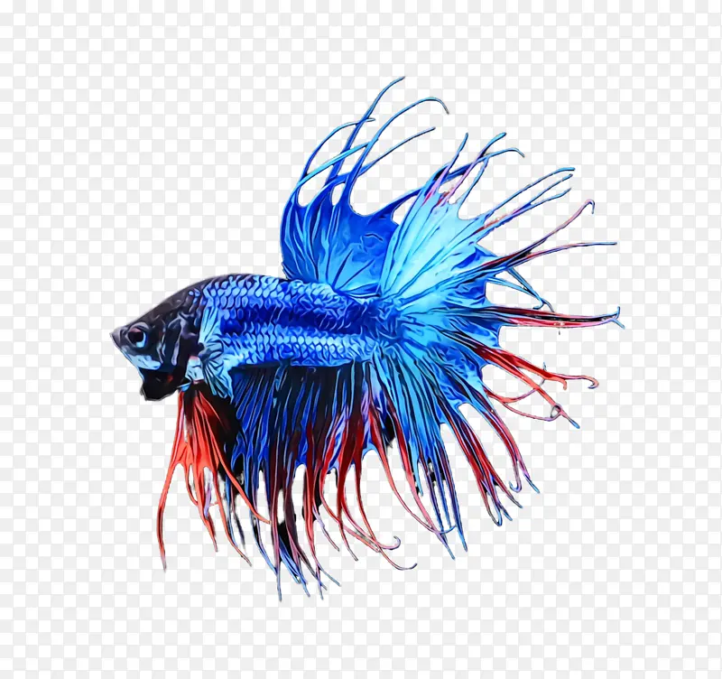 ˮ�� ���� ʪīˮ-������