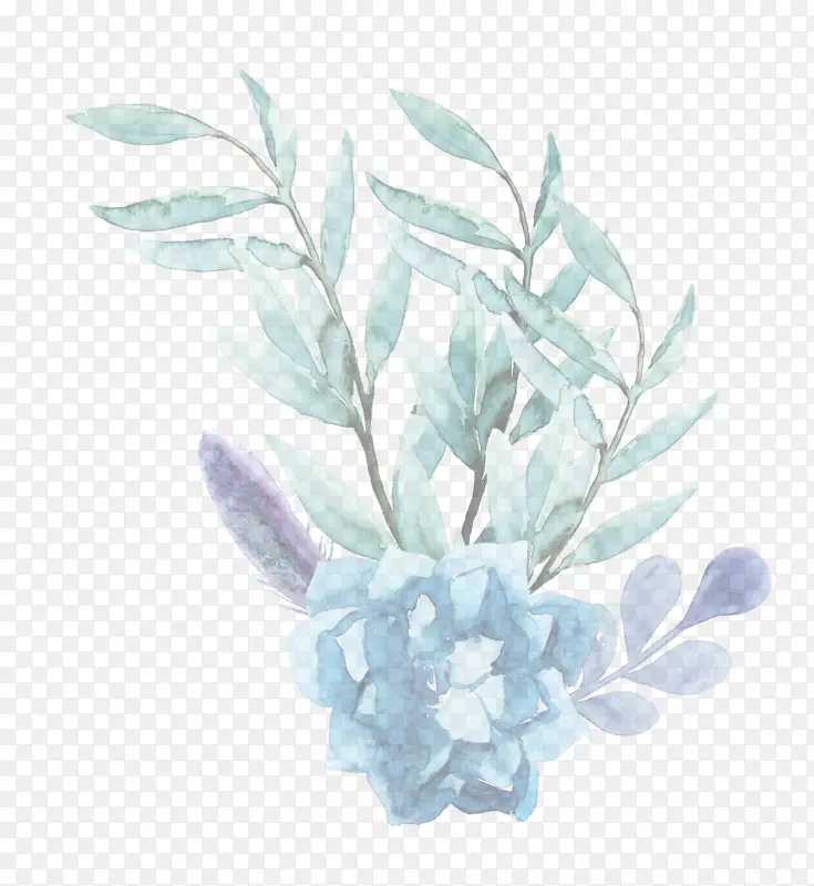 Ҷ�� ֲ�� ��-������