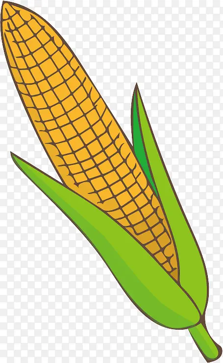 Ҷ�� ��ɫ ��ɫ-������