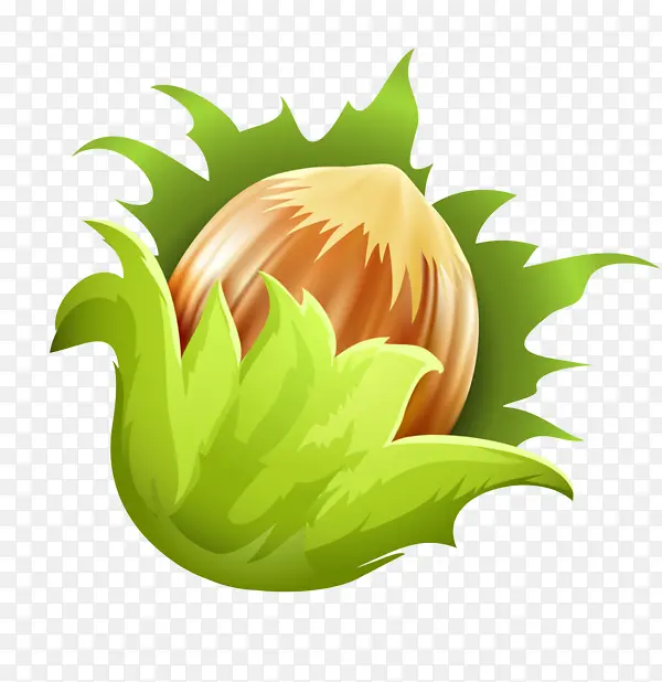 ��ɫ Ҷ�� ֲ��-������