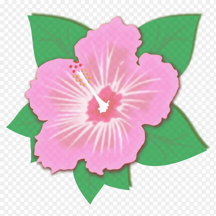 ��ɫ ���� ܽ��-������