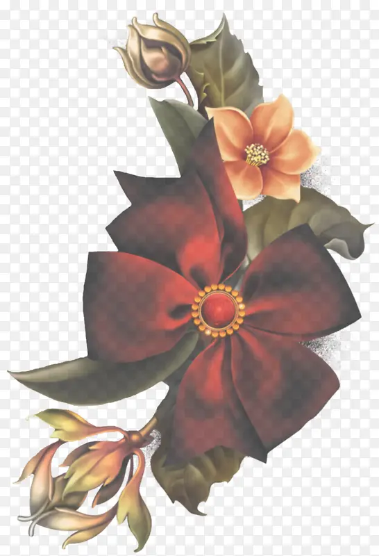 �� ֲ�� ����-������