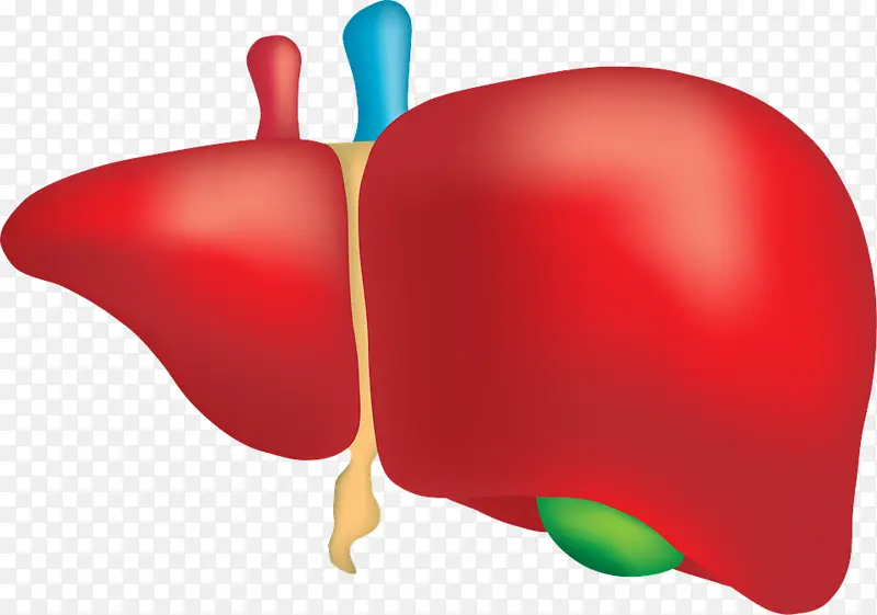 ֲ�� ���� Ĵָ-������