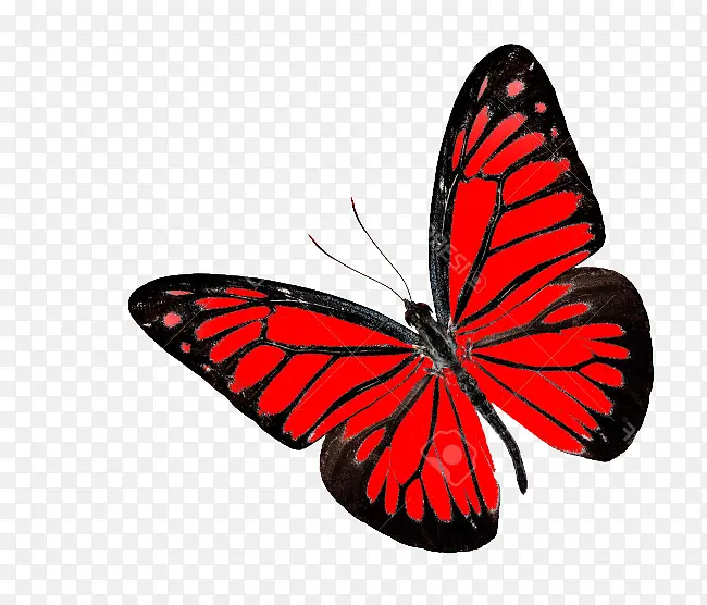 �ɶ�ͺ��� ���� ����-������