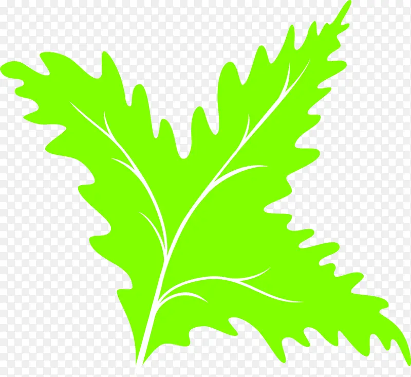 Ҷ ֲ�� ��-������