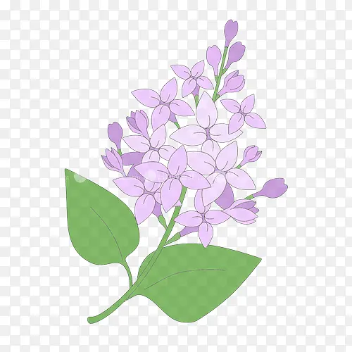 ����ֲ�� �� ����-������