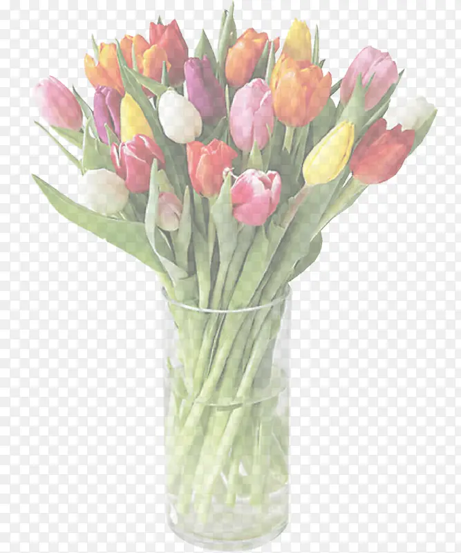 �ɹ���Ʒ�� ����ֲ�� ������-������