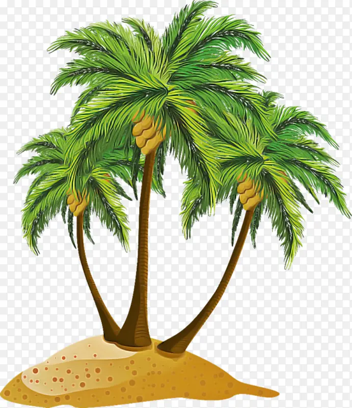 �ɹ���Ʒ�� ����� ����-������