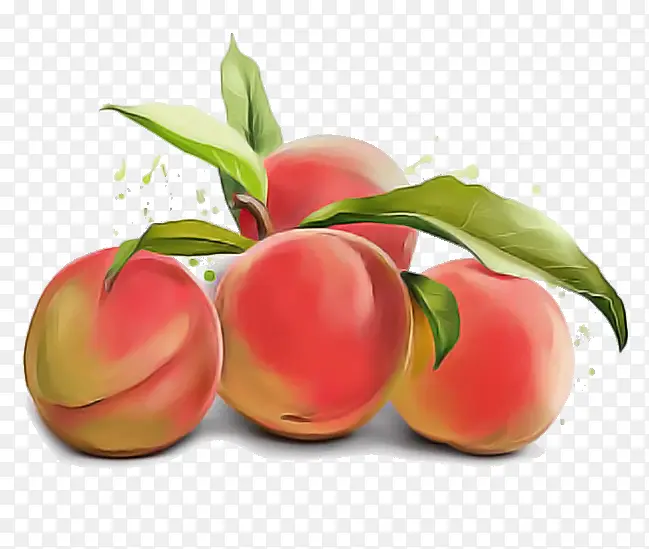 ŷ���� �� ˮ��-������