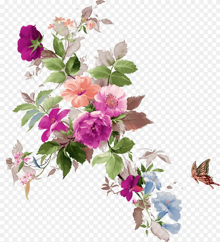 �� ����ֲ�� ֲ��-������