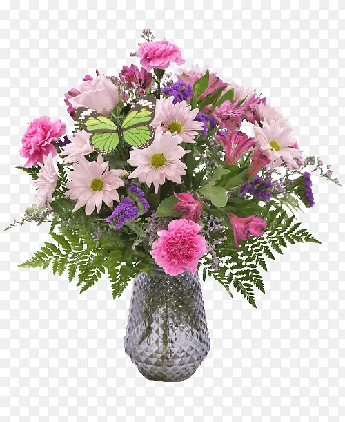 �ɹ���Ʒ�� ���� ����ֲ��-������