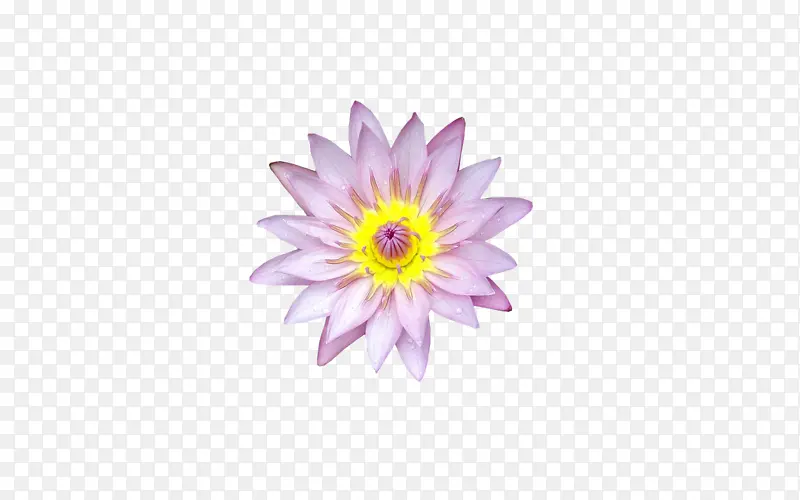 �� ������ ����-������