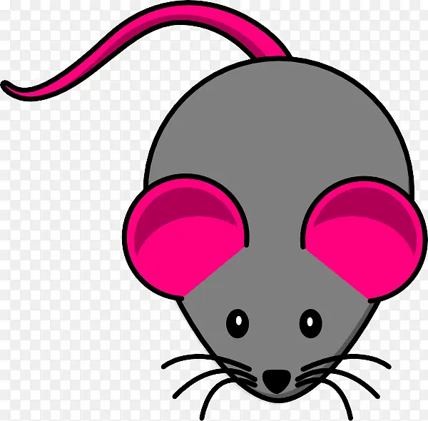 ���� ��ɫ ����-������