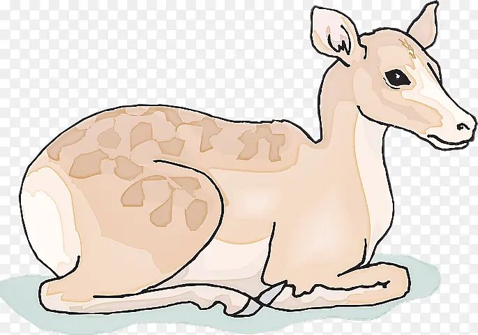 ��ͨ Ұ������ ��������-������