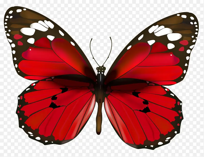 �ɶ�ͺ��� ���� ����-������