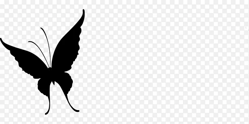 ��ɫ ���� ����-������