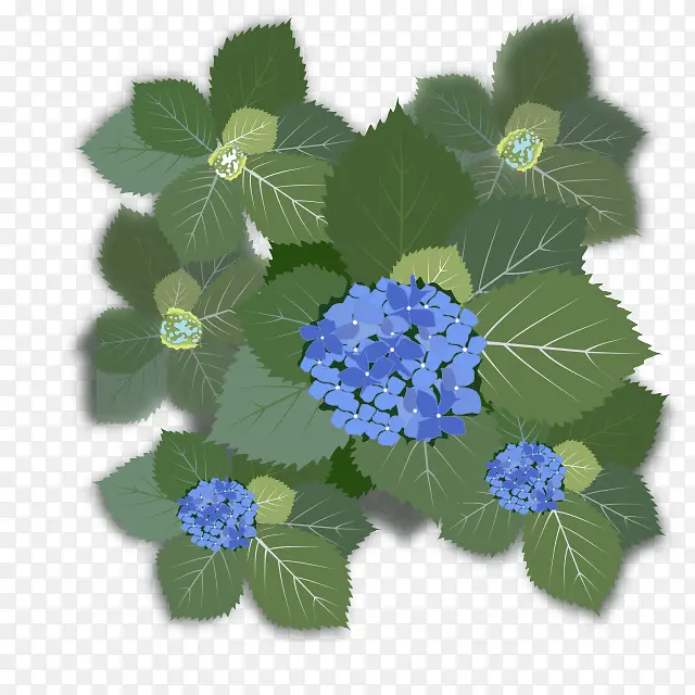 �� ����ֲ�� ֲ��-������