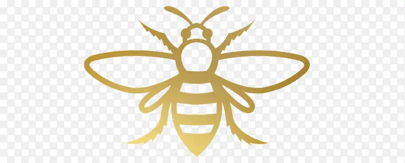 ��ɫ ���� �Գ���-������