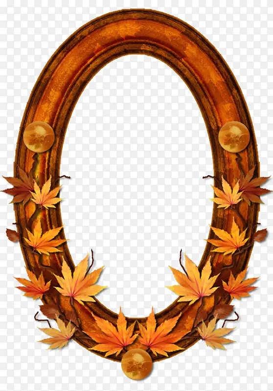 ��ɫ Ҷ�� ��Բ��-������