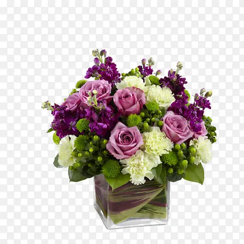 �ɹ���Ʒ�� ����ֲ�� ����-������