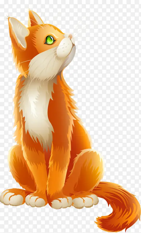 ��ɫ ���� β��-������