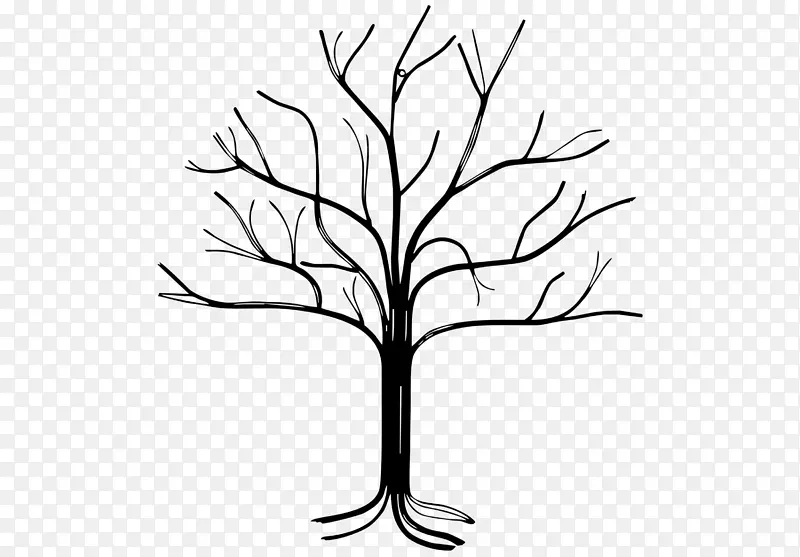 ��ľ ��֦ Ҷ��-������