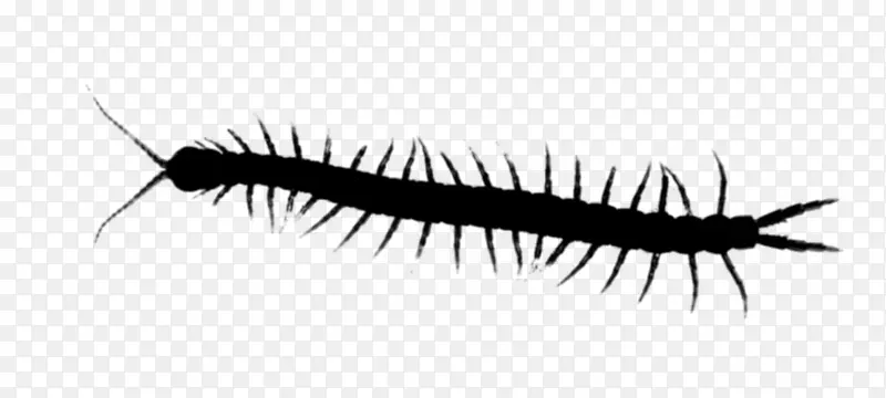 ��� ��ë �۾�-������