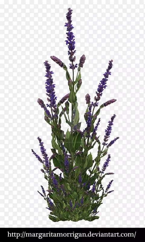 �Ϲ�ľ-��ľ-������