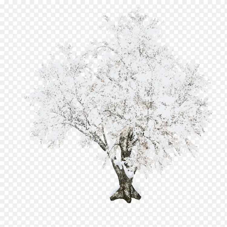 ��ľ ��֦ ľ��ֲ��-������