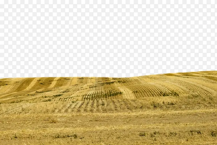 ��Ұ ��ԭ ��Ȼ����-������