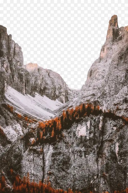 ë�� ���� �׳�-������