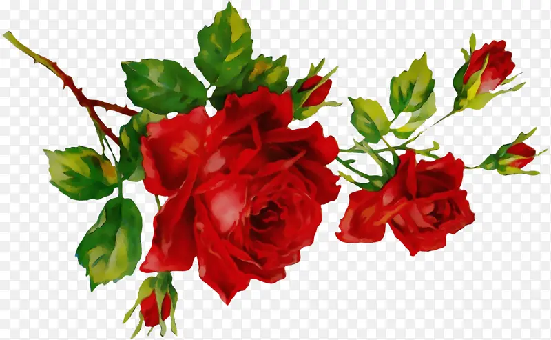 ˮ�� ���� ʪī-������