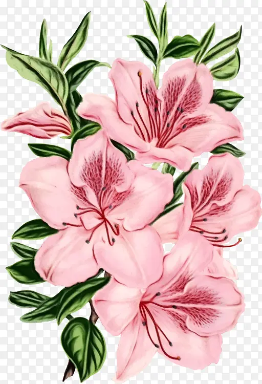 ˮ�ʻ� ���� ʪī-������