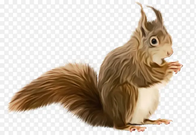 ˮ�ʻ� ���� ʪīˮ-������