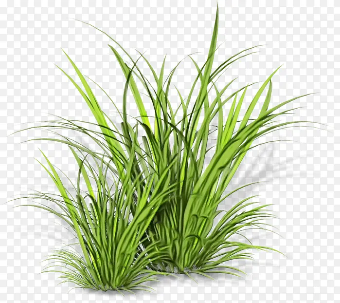 ˮ�ʻ� ���� ʪī-������