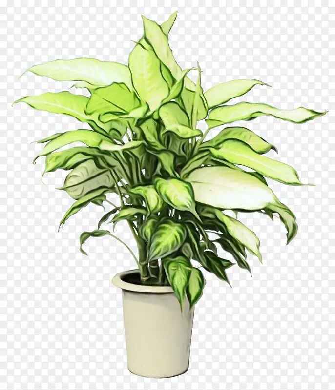 ˮ�� ���� ʪī-������