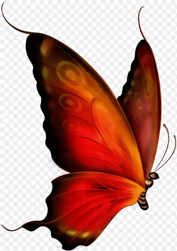 ˮ�ʻ� ���� ʪīˮ-������