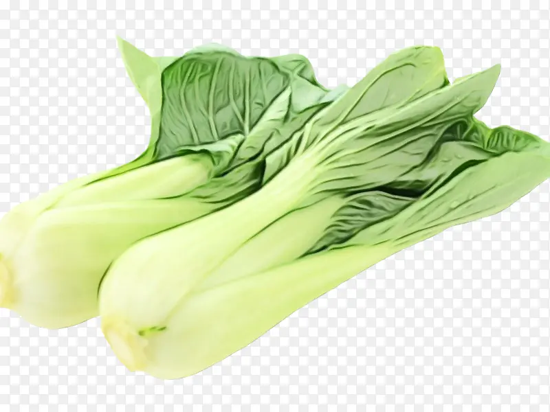 ˮ�� ���� ʪī-������