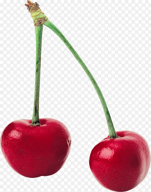 ˮ�ʻ� ���� ʪī-������