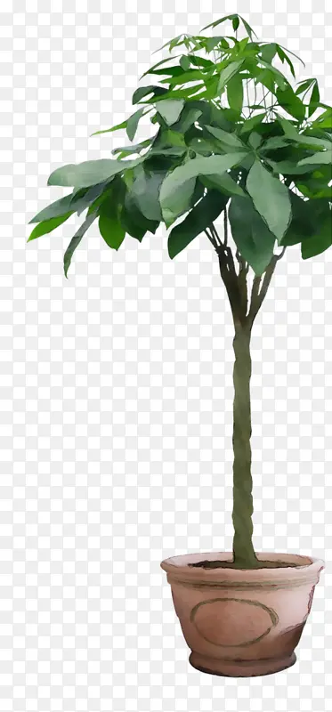 ˮ�� ���� ʪī-������